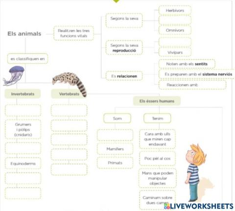 Classificació animals