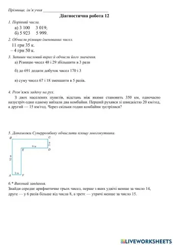 Діагностична робота 12