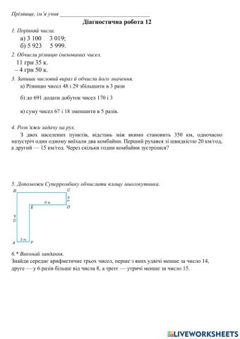 Діагностична робота 12