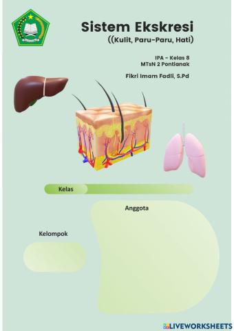 Sistem Eksresi - Kulit-Paru-Paru-Hati