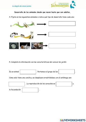 Desarrollo de las crías y características del caracol de jardín