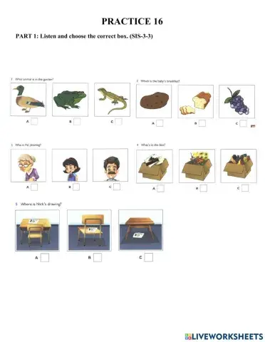 Starters-Practice 16