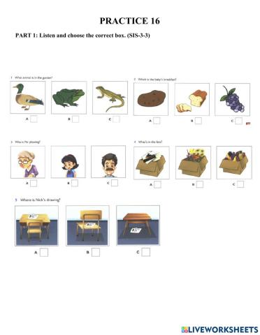 Starters-Practice 16