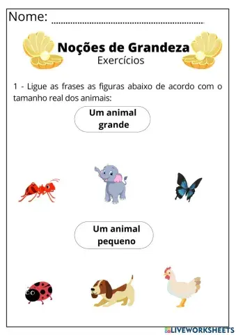 Noções de grandeza