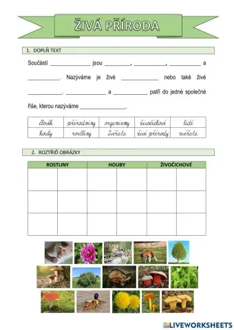 Pracovní list - živá příroda