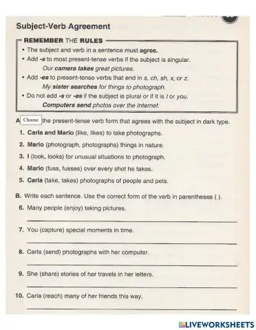 Subject-Verb Agreement