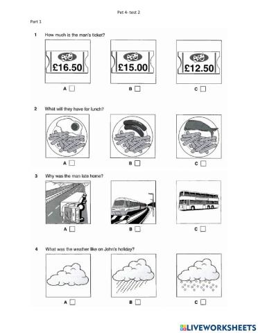 Pet 4- test 2