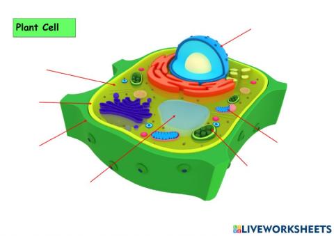 Plant Cell G5
