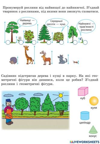 Дерева, кущі, трав'янисті рослини