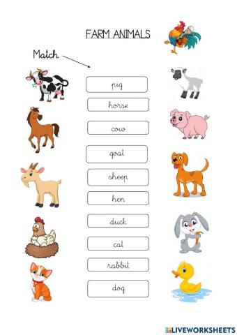 Farm animals