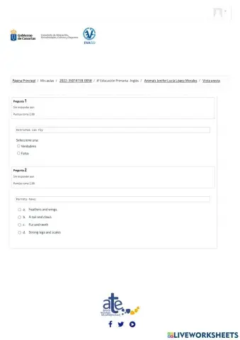Write the correct answer