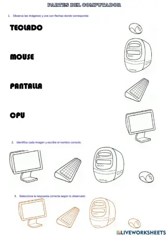 Ficha interactiva partes del computador