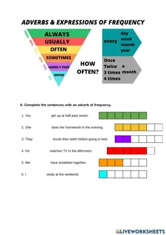 Adverbs and Expressions of Frequency
