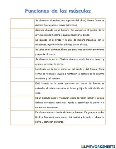 Funciones de los músculos