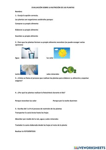 Nutrición de las plantas