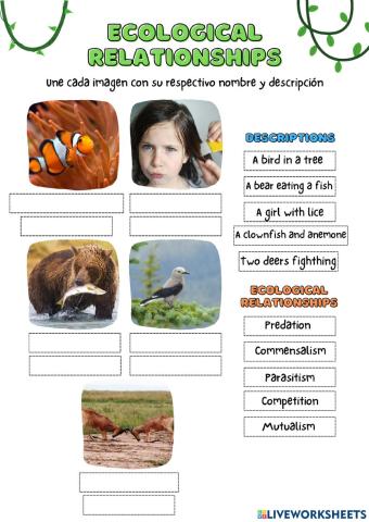 Ecological Relationships