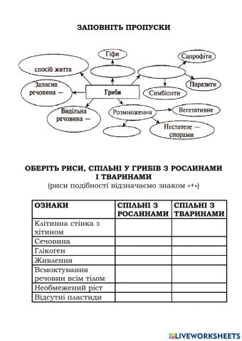 Загальна характеристика грибів