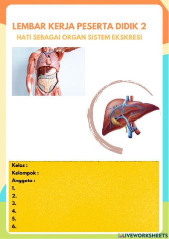 LKPD Gangguan Hati-2