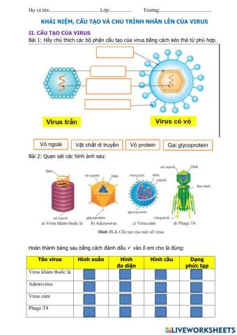 Pht cấu tạo virus