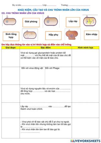 Pht chu trình nhân lên của virus