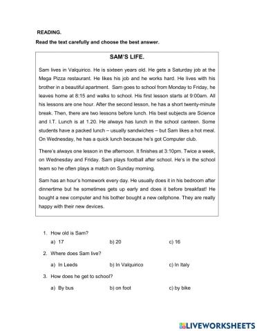 Wh questions reading