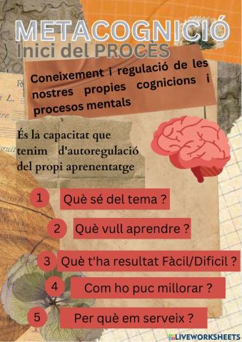 Metacognició Avaluació Inicial