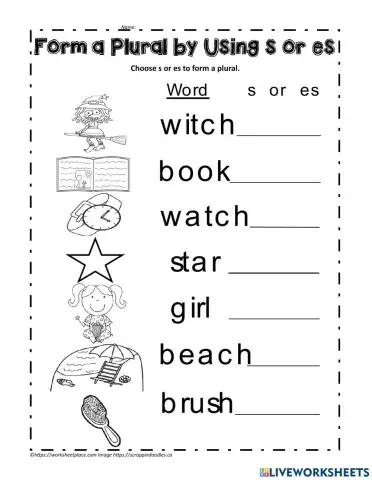 Plural Nouns: adding -s, -es