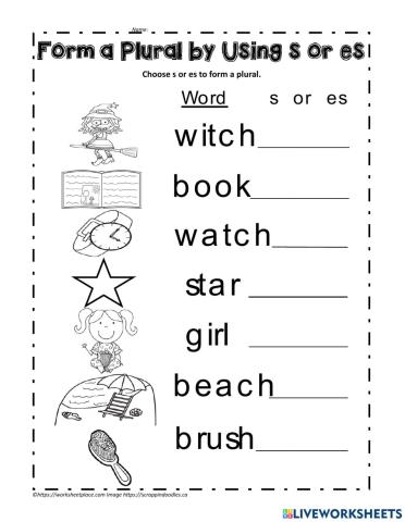 Plural Nouns: adding -s, -es