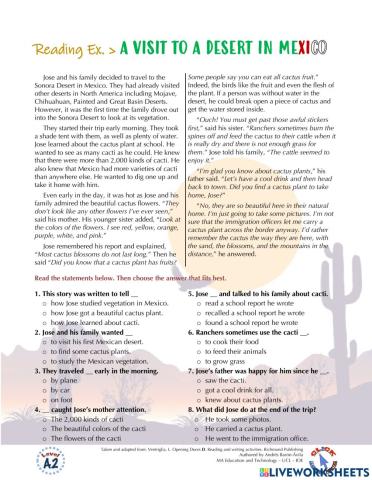 Reading Ex.: Past Simple - A Visit to Mexico