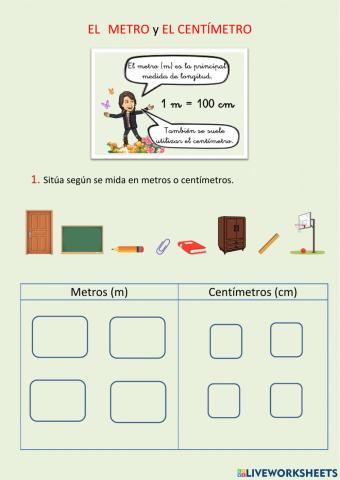 Medida: metro y centímetro