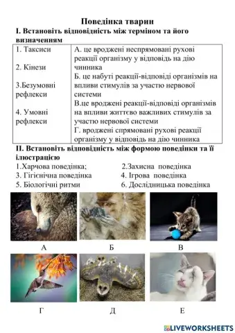 Поведінка тварин