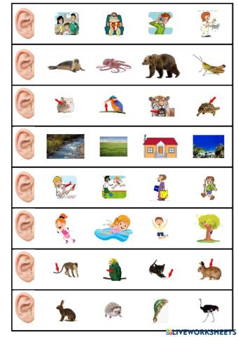 unit 1 and 2 tiger 3 review