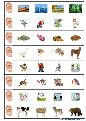 unit 1 and 2 tiger 3 review 2