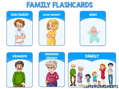 Family flashcards