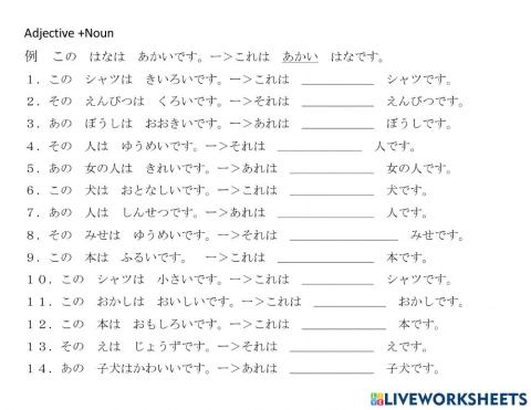 Level II Adjective + Noun