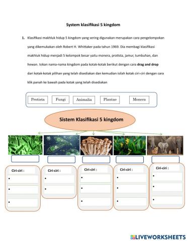 Sistem klasifikasi 5 kingdom