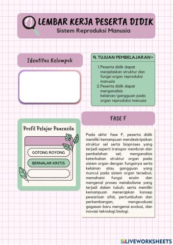 Sistem Reproduksi Bagian 1