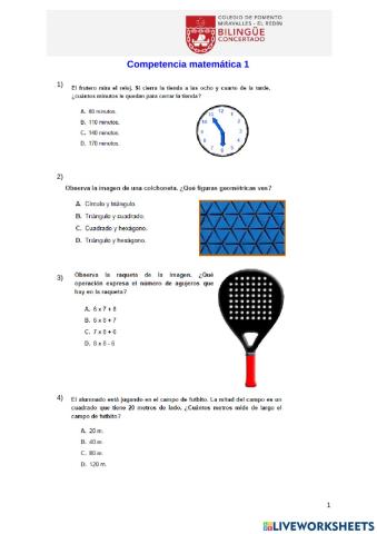 Competencia matemática