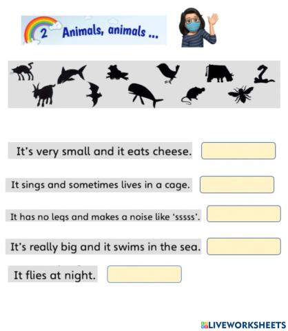 Unit 2 animals animals