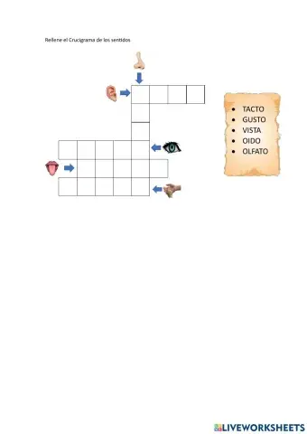 Los sentidos crucigrama