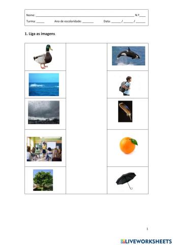 Compreensão: relacionamento