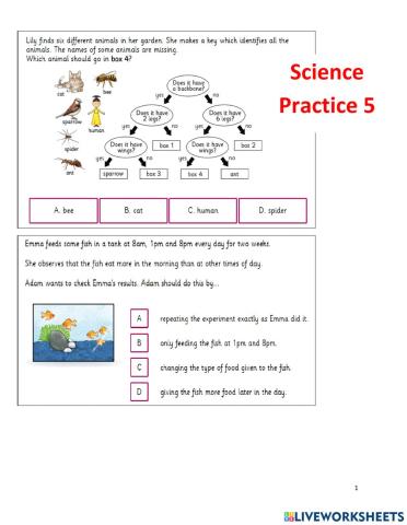 Science Practice 5
