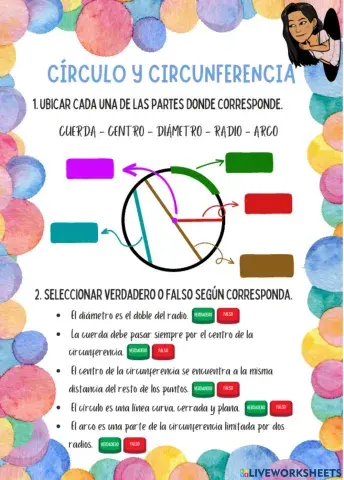 Círculo y circunferencia