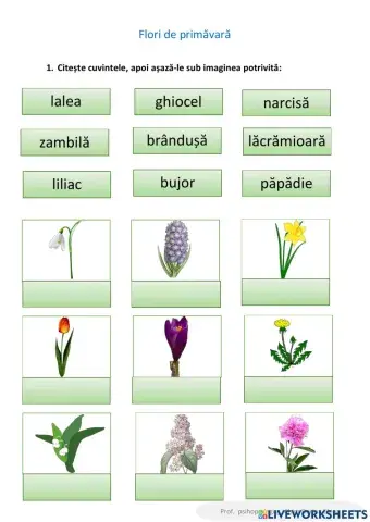 Flori de primăvară
