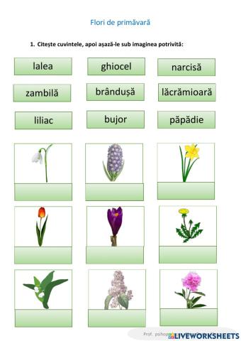 Flori de primăvară
