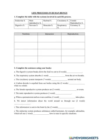 Life processes in human beings