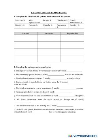 Life processes in human beings