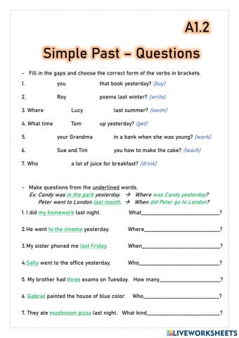 Simple Past - Did Questions & WH Questions