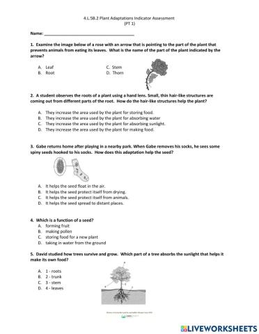 Plant Structures-Adaptations Indicator Assessment Part 1