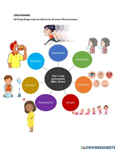 Cells, Tissues and Organs